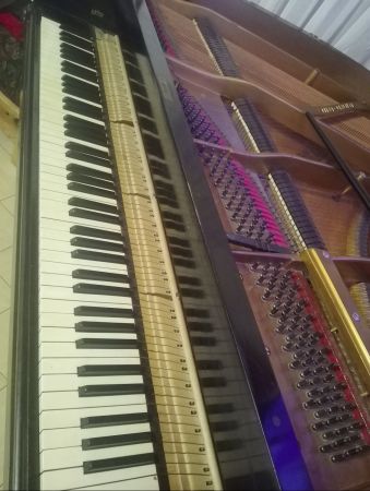 img 20250131 img 20250131