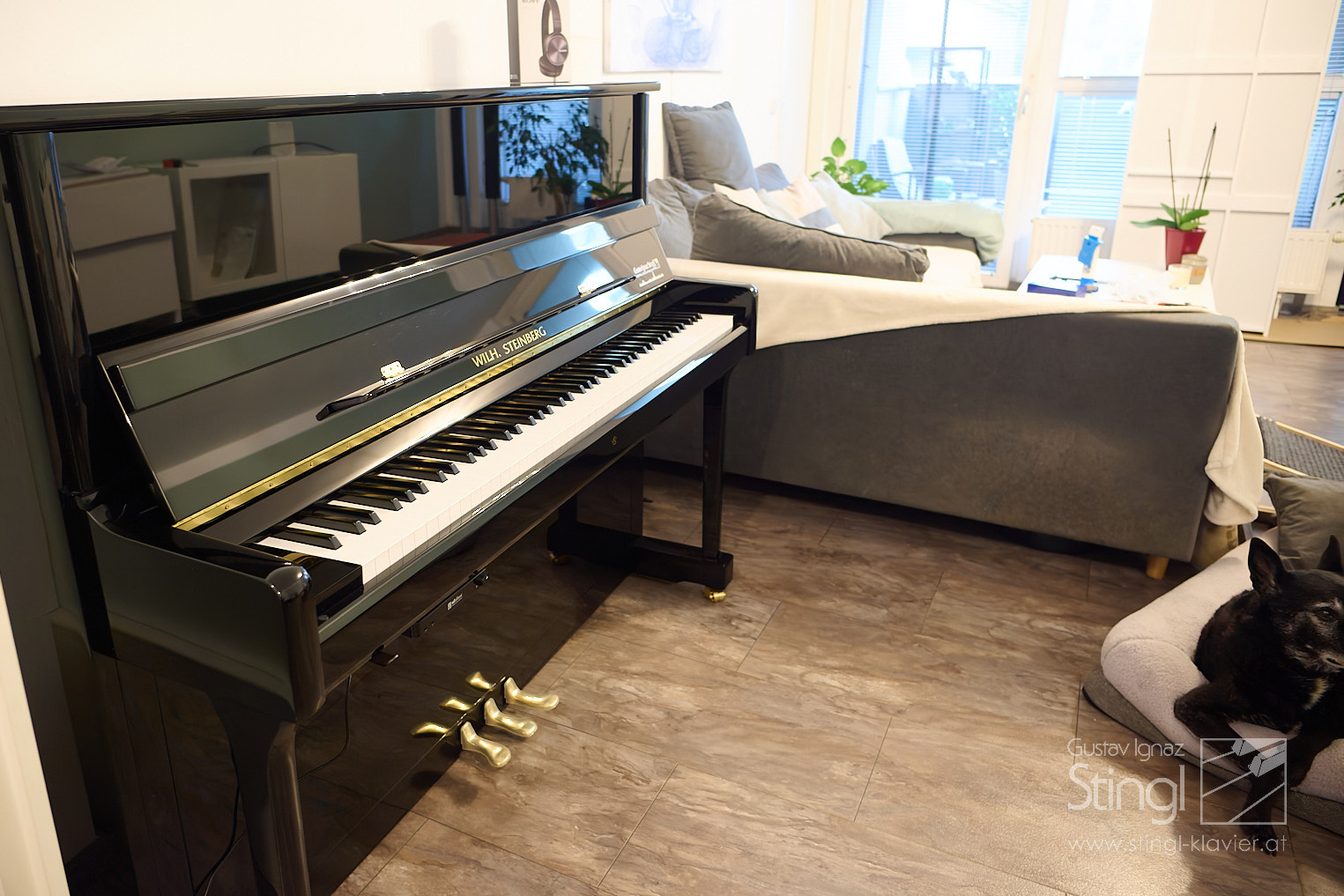 Wilhelm Steinberg Piano P118 nach 1020 Wien