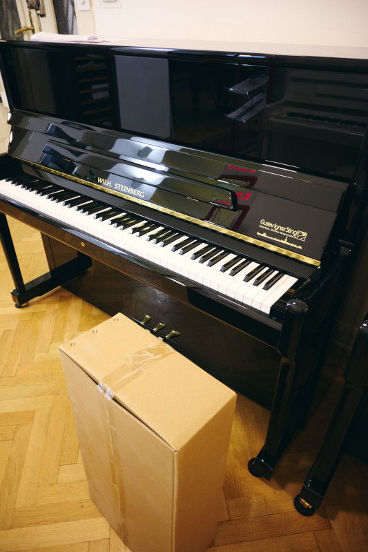 Wilhelm Steinberg Piano in 1050 Wien