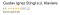 Google Maps Bewertung STINGL Klaviere